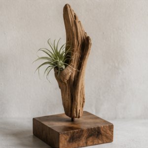 Rustic Wood Sculpture Stand